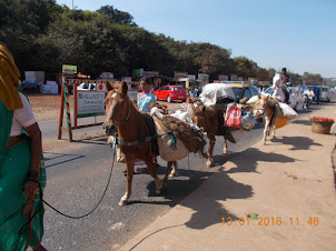 Nomadic villagers transporting livestock on pony's.