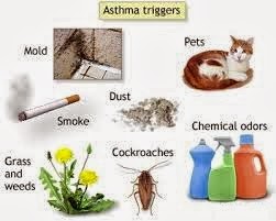 +Treatment+and+Prevent+(1).jpg