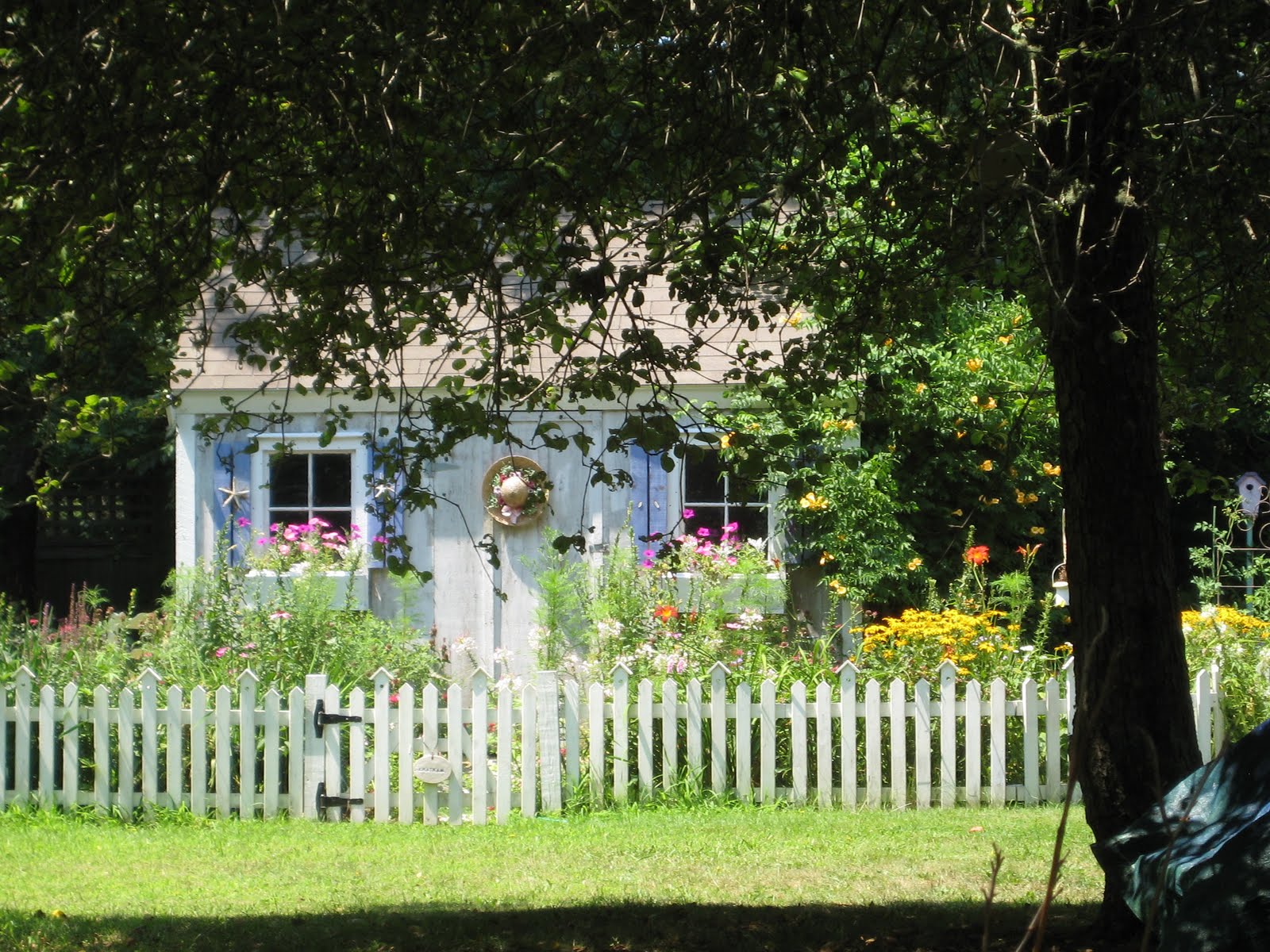 Pin by WENDY REYNOLDS on Favorite places and spaces Tree