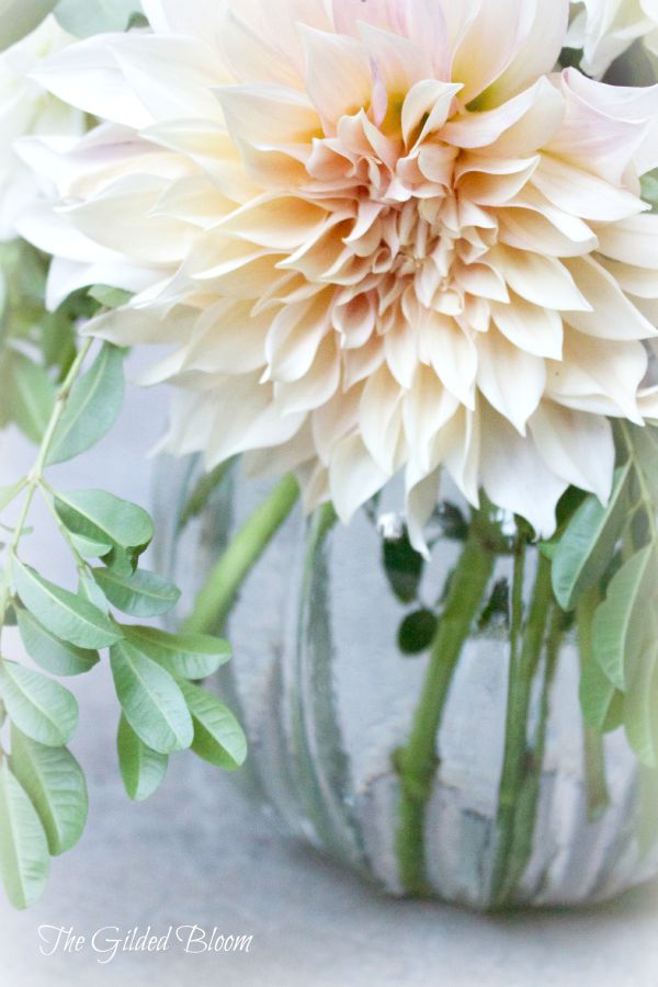 Cafe au Lait Dahlia Arrangement The Gilded Bloom