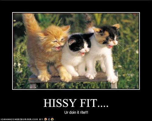 Hissy Fit