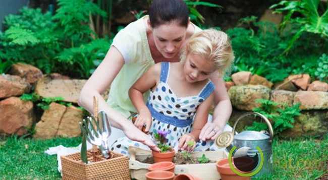 Kecerdasan naturalis Kecerdasan naturalis