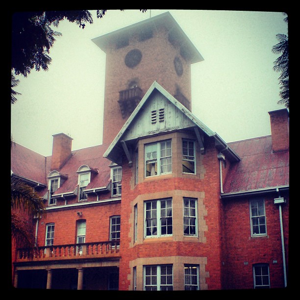 CHRISTINE LAIDLAW weskoppies