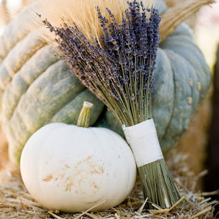 Romantic fall inspiration Romantic fall inspiration