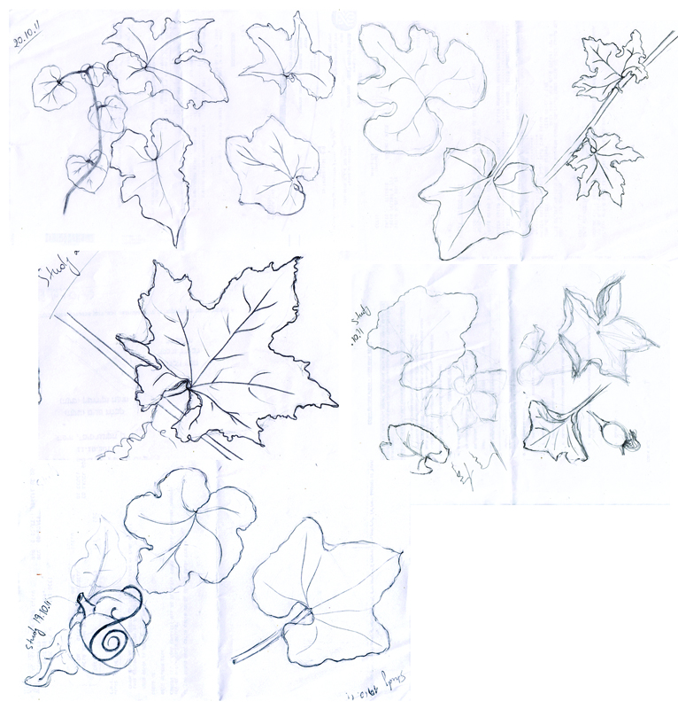 Leaves Sketch