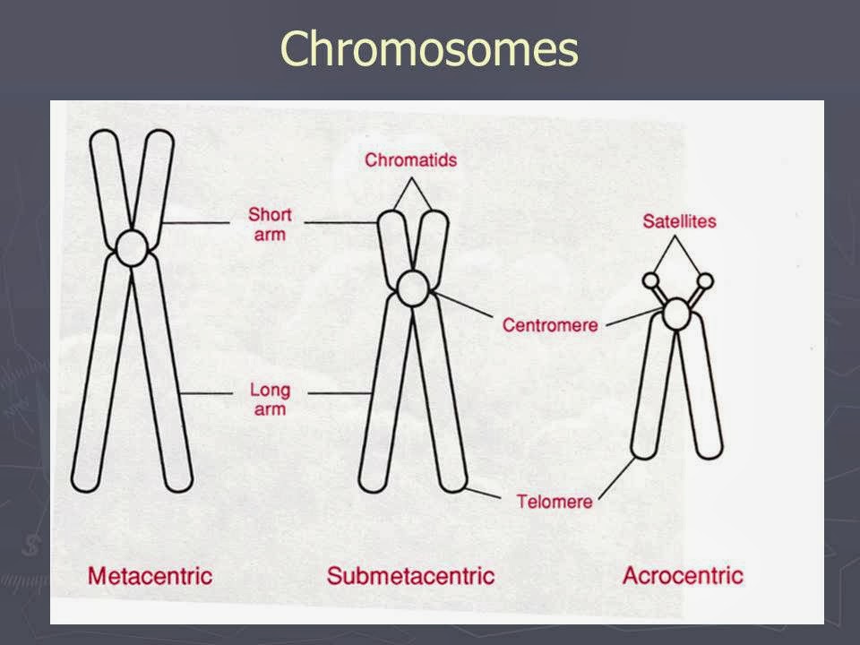 Slide 59
