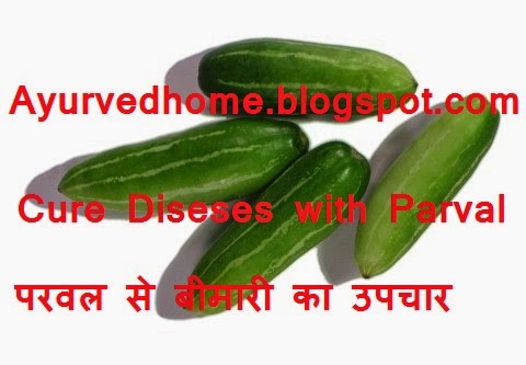 Use of Parval in Different Diseases Naturally परवल से विभिन्न बीमारियों का उपचार Trichosanthes dioica and its Health Benefits