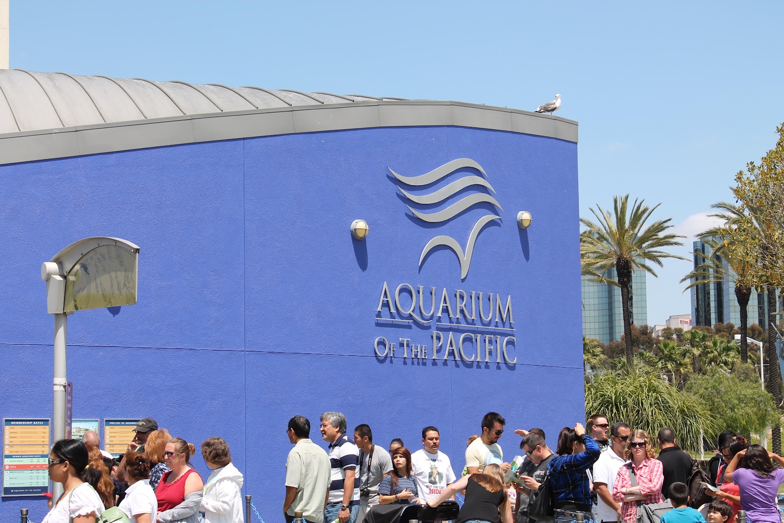 Hawaii Mom Blog Off Island Aquarium of the Pacific