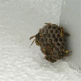 News Archive Mm Group Marketing