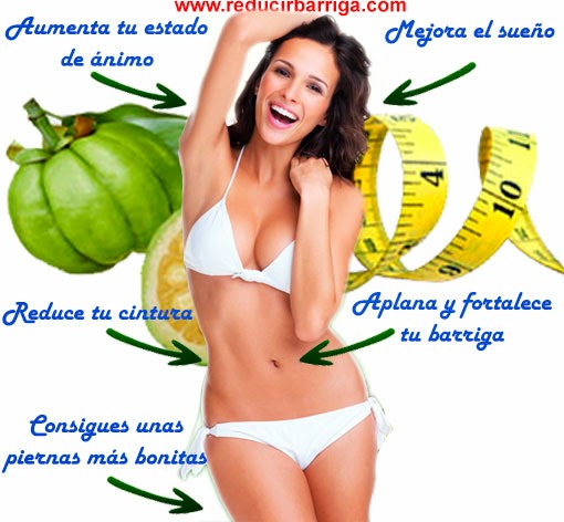 como-conseguir-reducir-barriga-garcinia-cambogia-experiencia-personal Como Conseguir Reducir Barriga Garcinia Cambogia Experiencia Personal