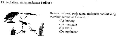 Rumah Kaca