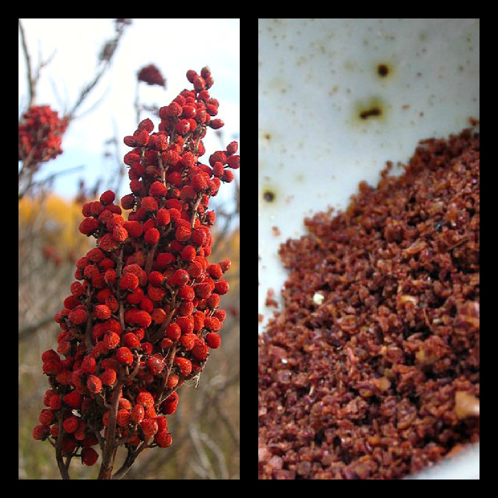Glass Petal Smoke Sumac A Mediterranean Flavor Catalyst