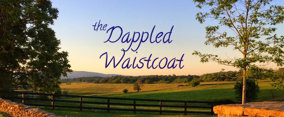 The Dappled Waistcoat