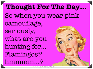 So when you wear pink camouflage, seriously, what are you hunting for, flamingos? camo
