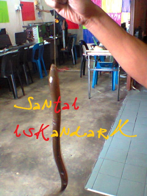 Santai-iskandarX-Flat-Ijau-Din-balik-memancing-Belut-iskandarx.blogspot.com