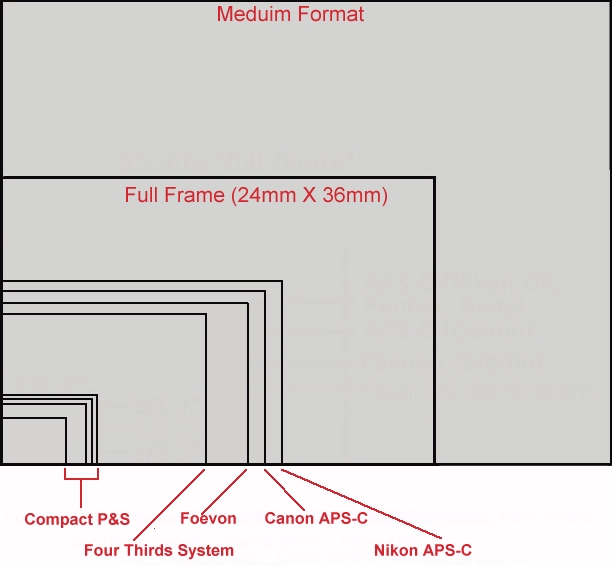 A Camera Diary An explanation on digital sensors size, and what it