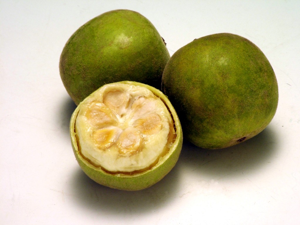 monk fruit how to dry fruit monk fruit how to dry fruit