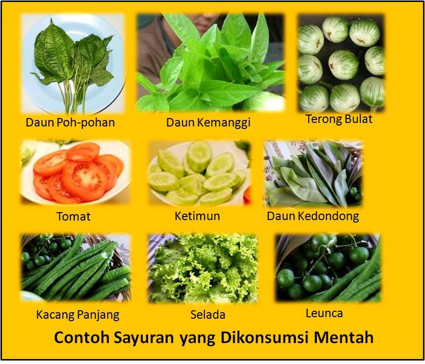 Makan Sayur Untuk Diet