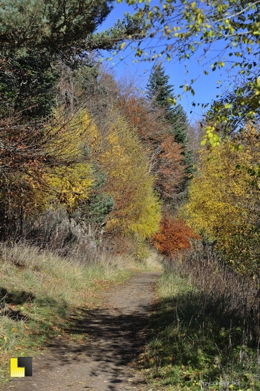 sentier du bouchet en automne photo pascal blachier
