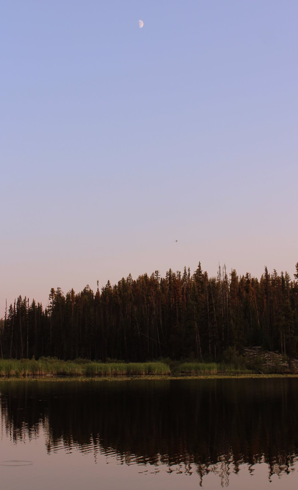 The Murray Chronicles Idabel Lake Resort