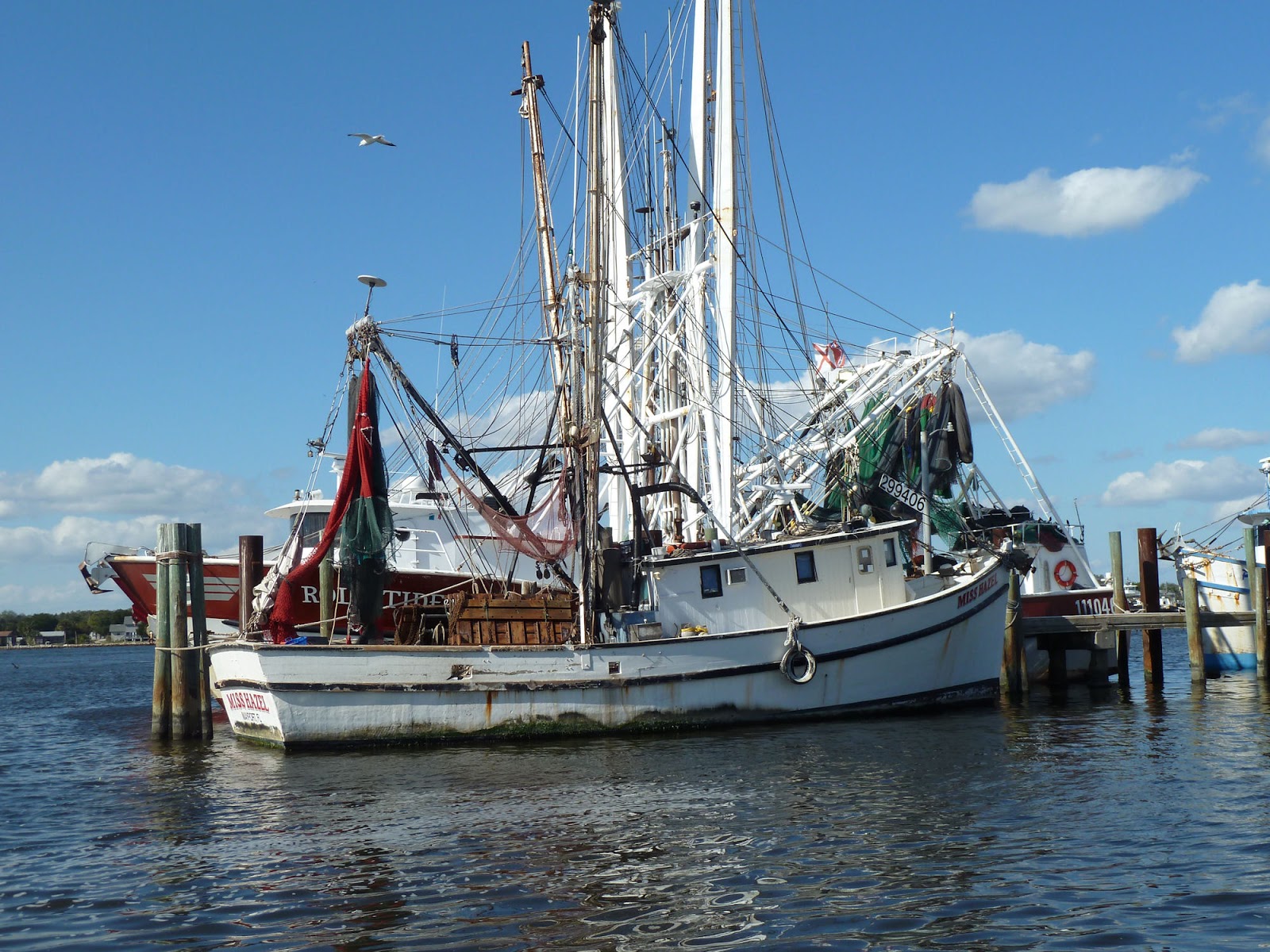 Safe Harbor Seafood Market and Restaurant