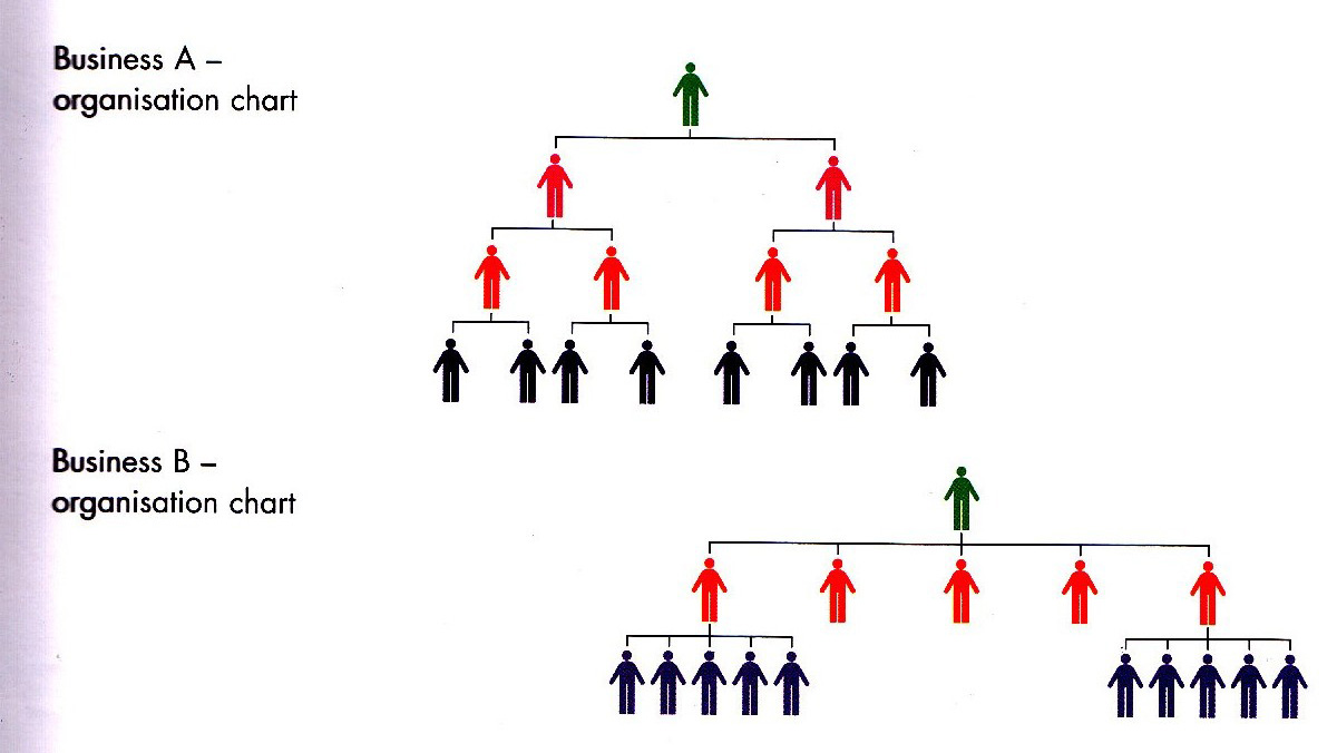 Span Of Control Chart