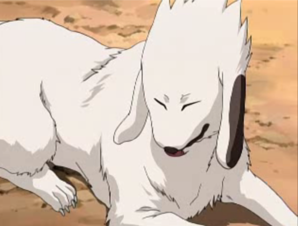 Ficha do Asuke Akamaru+(Shippuden)