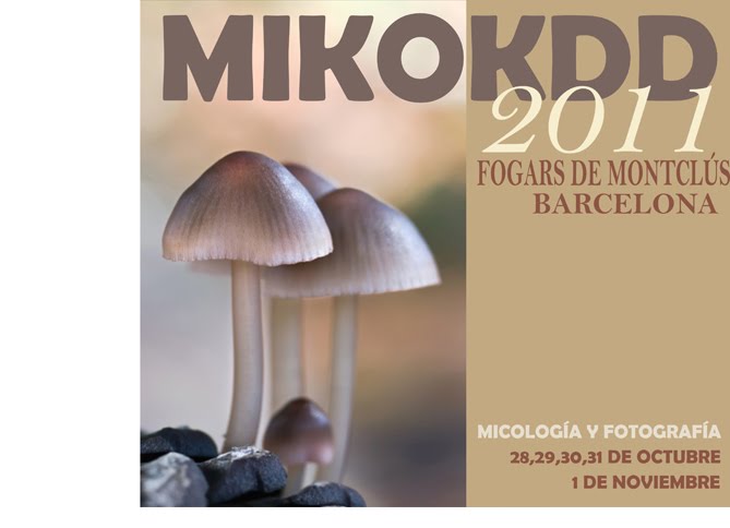 MIKOKDD 2011