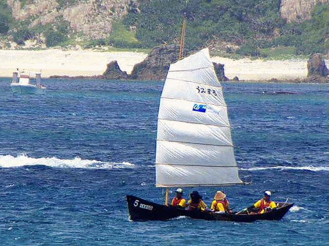Umimaru, sailing sabani, near finish