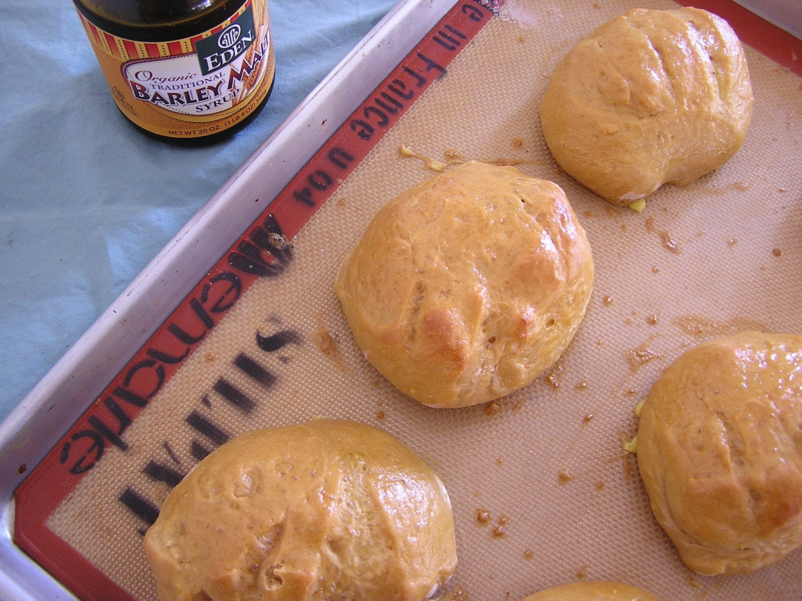What the Dog Ate Kaiser Rolls for the Bread Machine