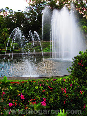Fontes do jardim do Museu Paulista (ou Museu do Ipiranga), em São Paulo Fontes do jardim do Museu do Ipiranga, em São Paulo - Por Tito Garcez