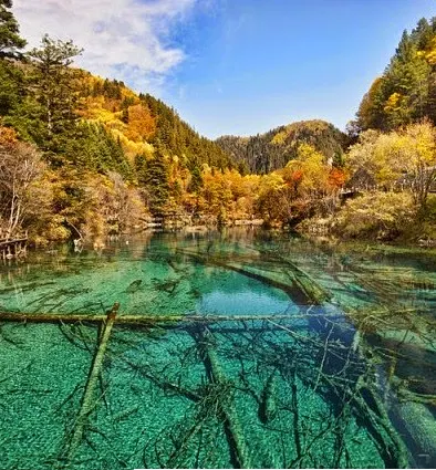 five flower lake. jiuzhaigou valley,China 