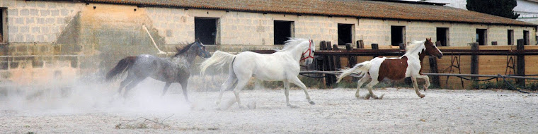 Equitare Salento