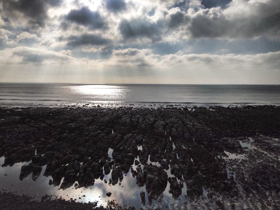 Undercliff walk - Rottingdean - Brighton - copyright Tess Agnew Undercliff walk - Rottingdean - Brighton - copyright Tess Agnew