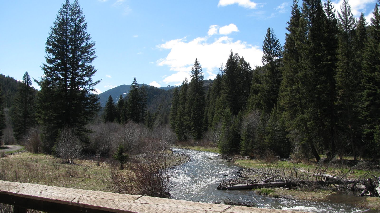 Yellowstone Summer Big Creek Camping In The Gallatin National Forest