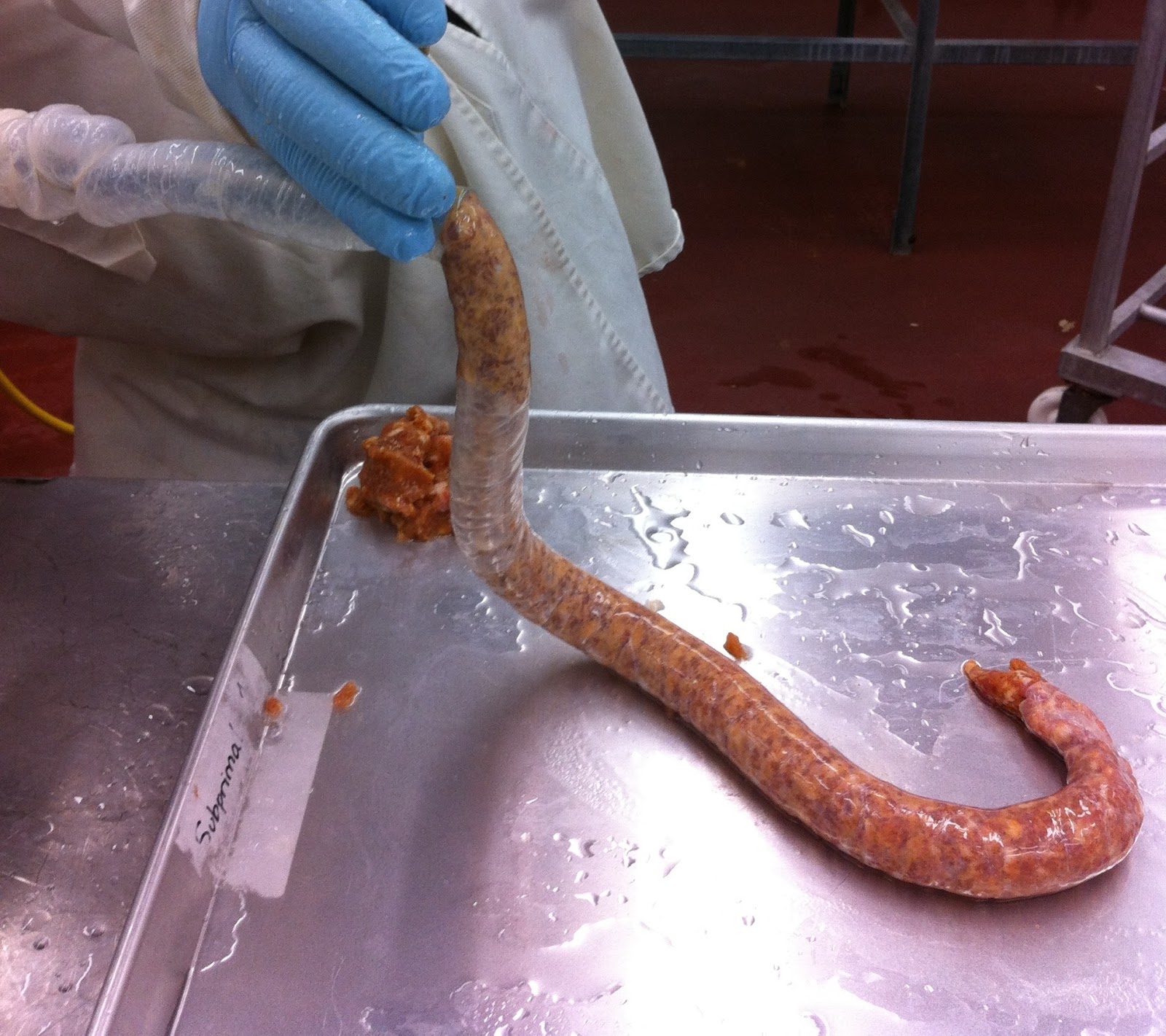 Top 96+ Pictures Pig Intestines Can Be Used As Casings In Halal