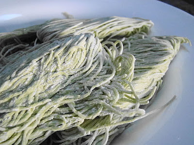 spinach pasta noodles