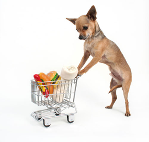 What Stores Can Dogs Go Into What Stores Can Dogs Go Into