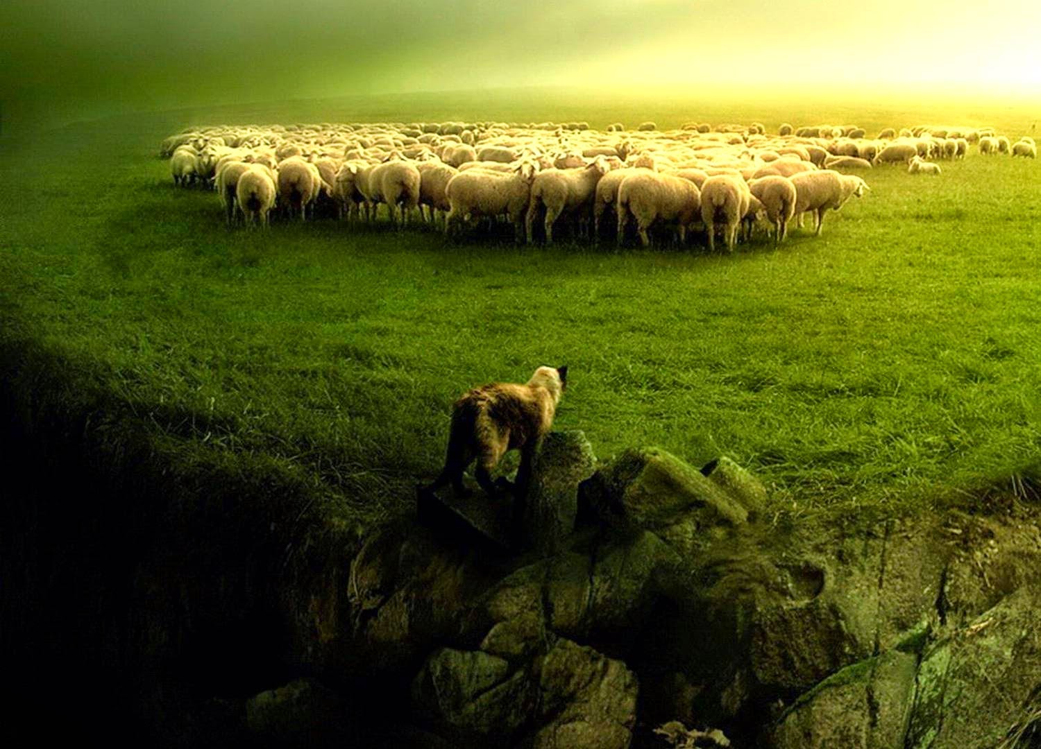 shepherd leadership Seven principles from “the way of the shepherd” we have been using a great little book in our leadership training that i highly recommend it is the way of the shepherd, 7 ancient secrets to managing productive people by kevin leman and william pentak. shepherd leadership Seven principles from “the way of the shepherd” we have been using a great little book in our leadership training that i highly recommend it is the way of the shepherd, 7 ancient secrets to managing productive people by kevin leman and william pentak.