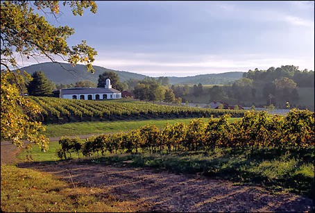 Barboursville Vineyards