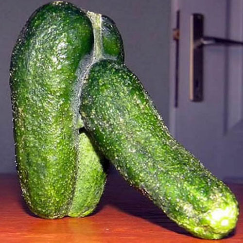 20 FOODS THAT LOOK SUSPICIOUSLY LIKE A PENIS Scribbles Media Club