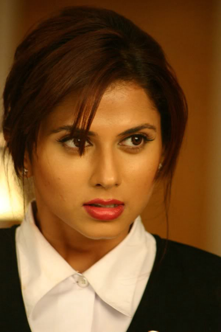 Best HD Every Wallpapers Beautiful Daisy Bopanna Hd Wallpapers