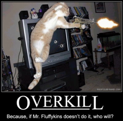 Funny Kitten Pictures on Funny Animals  Funny Cats And Dogs With Guns