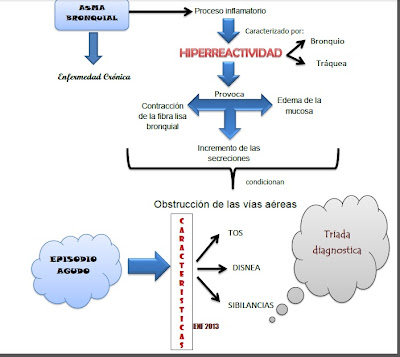 Mecanismo de accion de los corticosteroides pdf