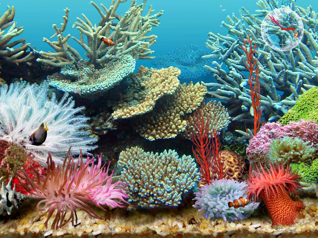 3d tropical fish aquarium screensaver free