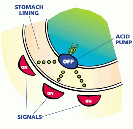 Mechanism of action of steroids drugs