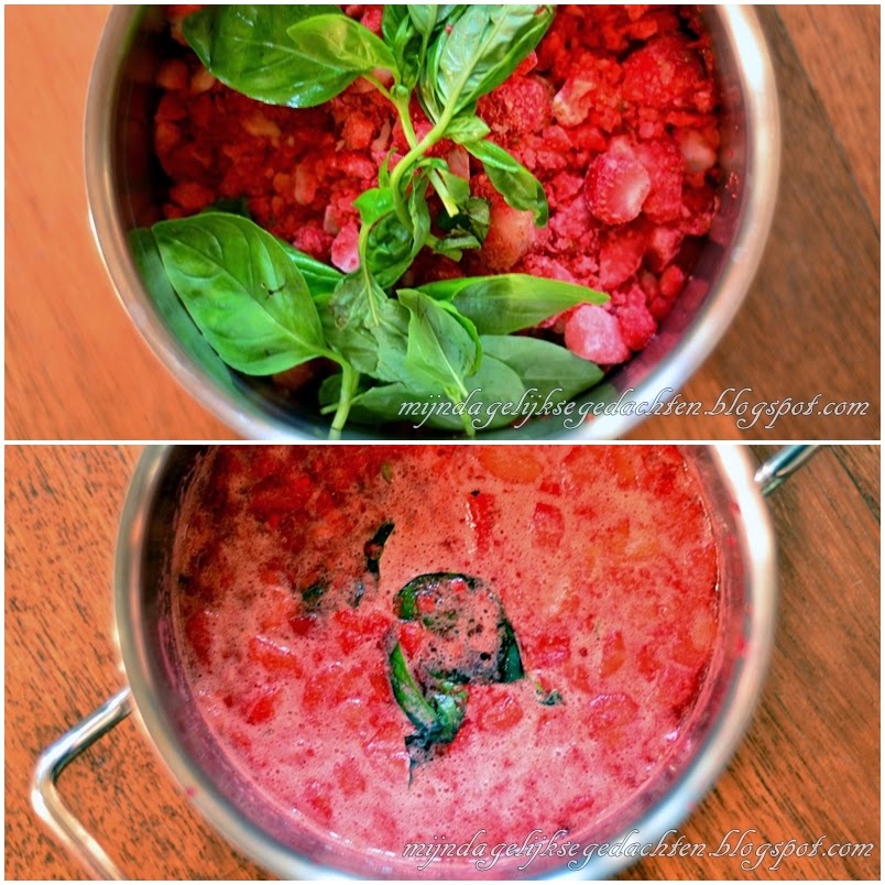 mijn dagelijkse gedachten Berry Basil Wine Sorbet / Ягодно Базиликовое