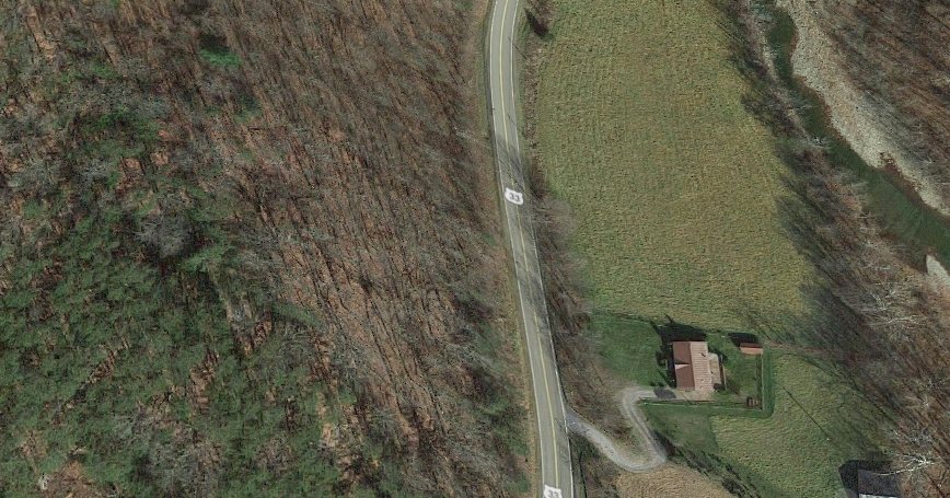 Bigfoot Seen On Side Of The Road Updated The Crypto Crew Bigfoot Seen On Side Of The Road Updated The Crypto Crew