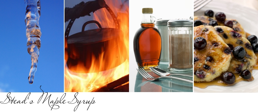 Stead's Maple Syrup