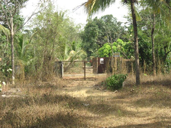 Land sale thrissur district : 1 ACRE LAND FOR SALE AT Anakallu ...